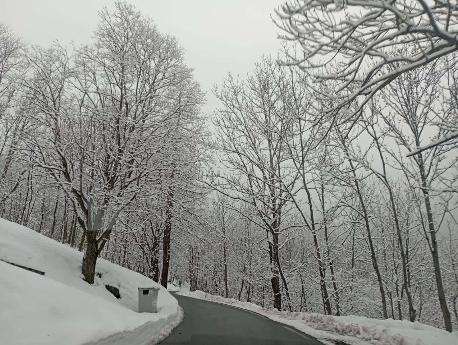 Ca Ad Me Pare Alloggio Con Terrazza Panoramica 몬체니시오 외부 사진
